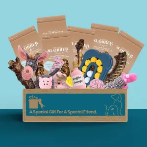 Dog Treat & Toys Present Box (Large)