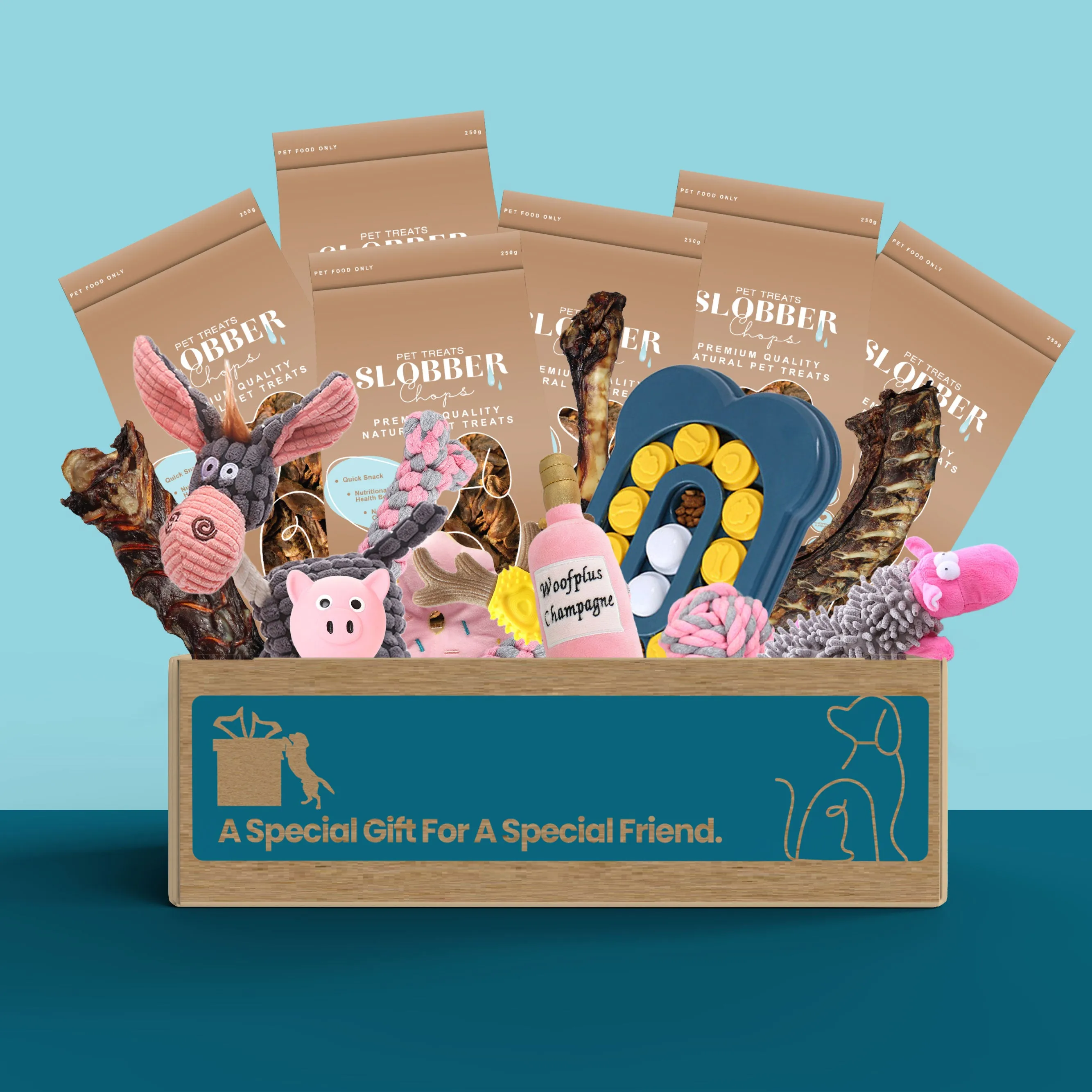 Dog Treat & Toys Present Box (Large)