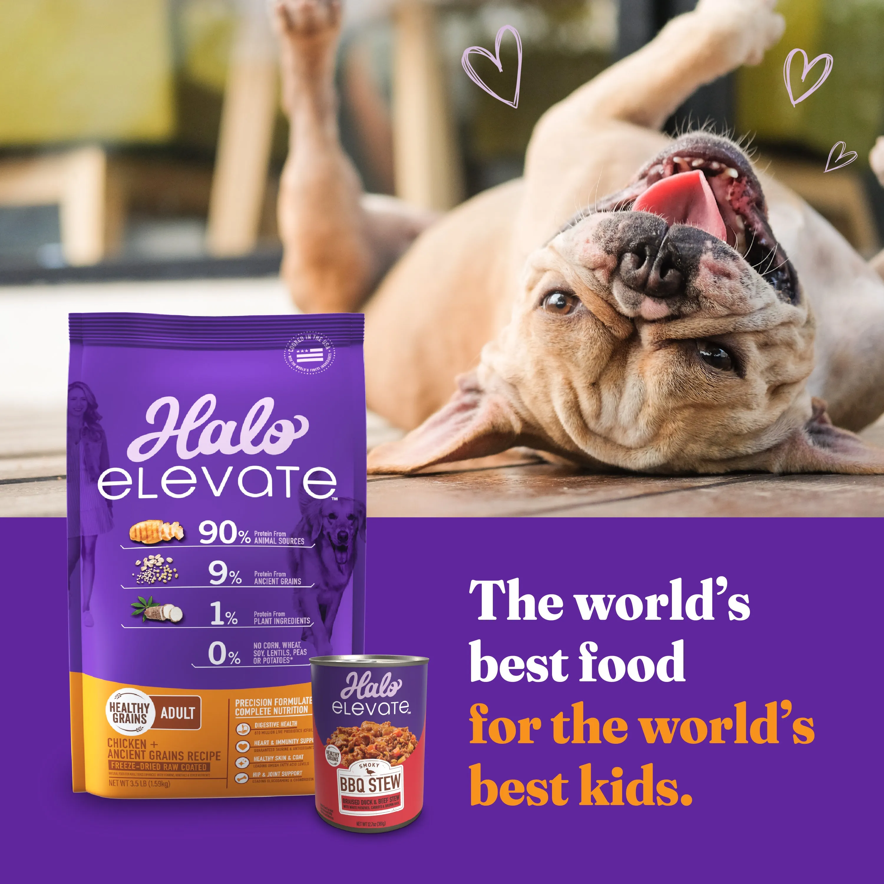 Elevate Homestyle Bone-In Grain Free Chicken Stew w/ Carrots & Spinach Wet Dog Food, 12.7 oz can (case of 6)