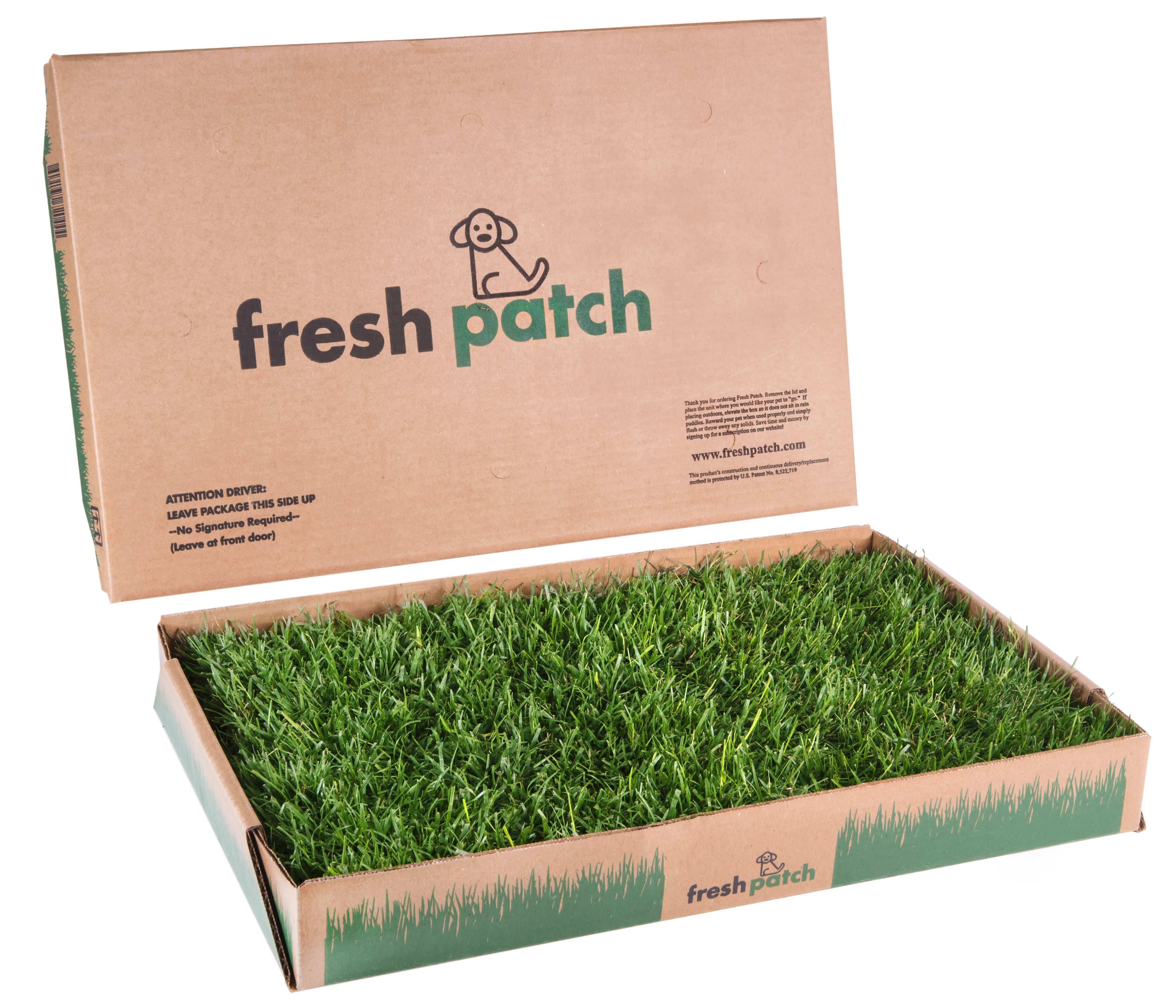 Fresh Patch Cat (Standard)