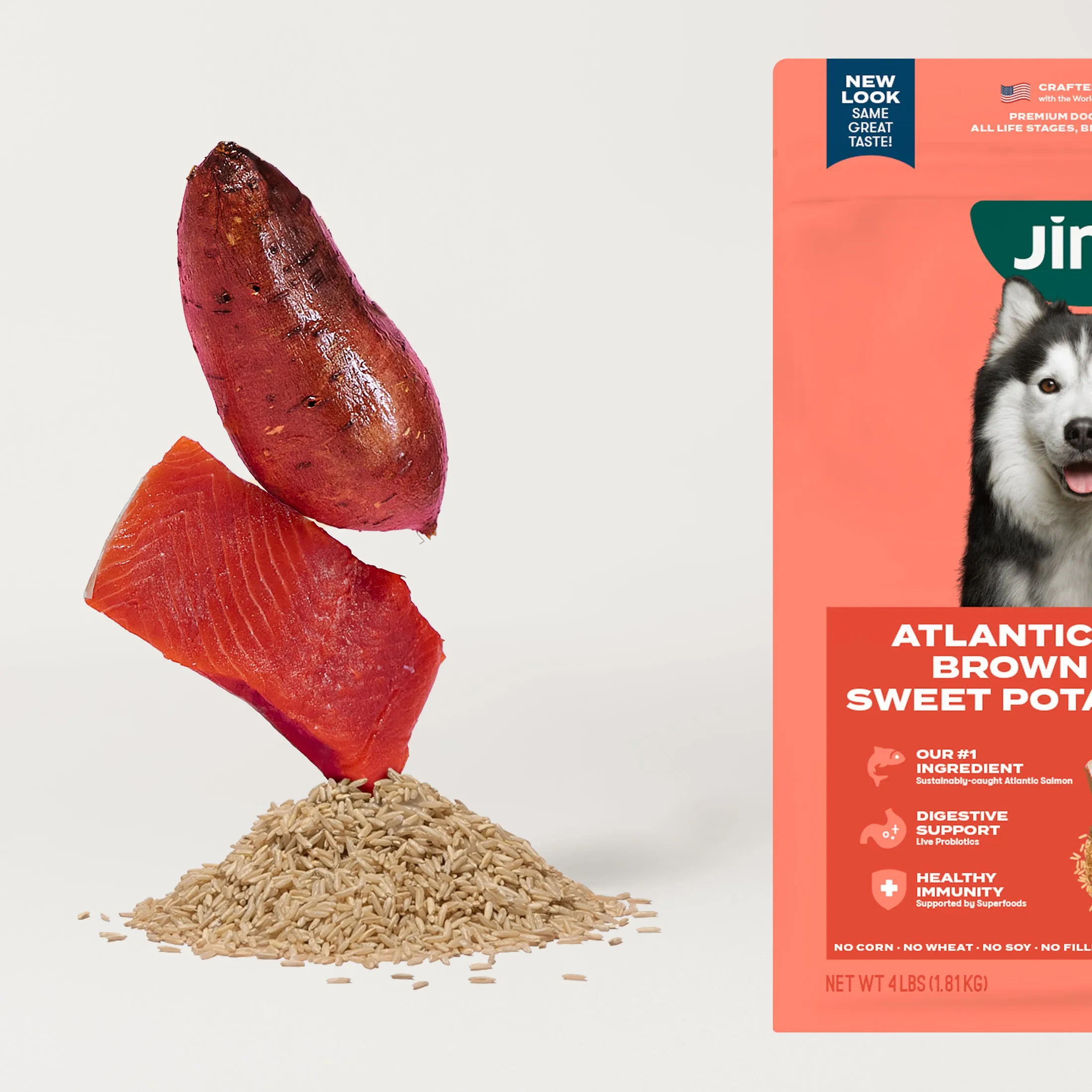 Grain-Friendly Dog Food Sampler
