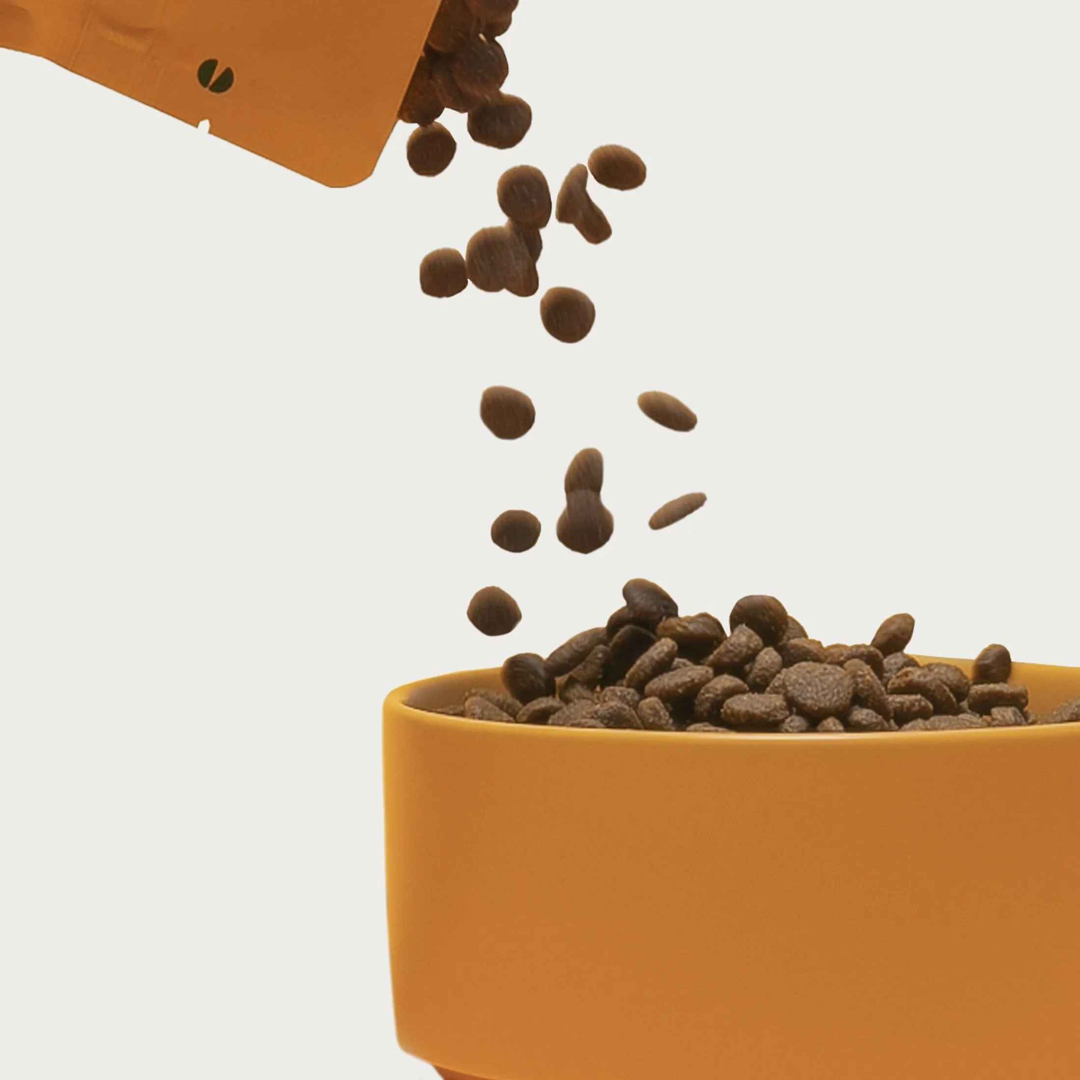 Grain-Friendly Dog Food Sampler