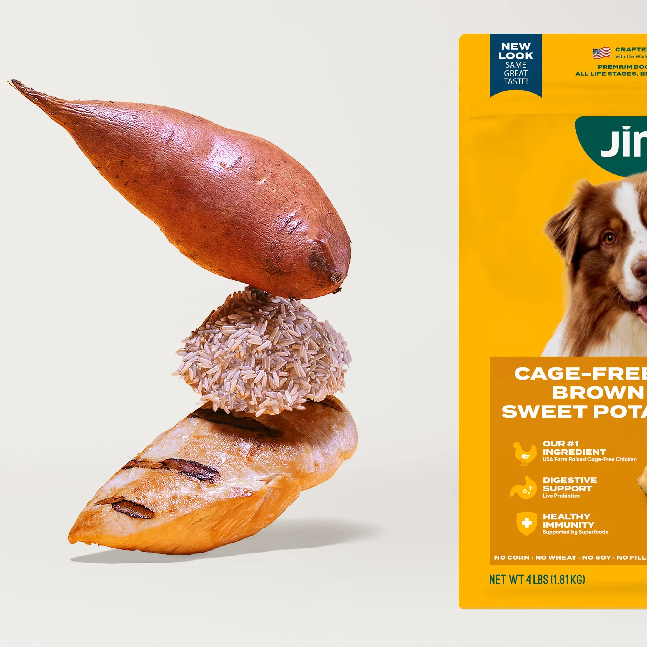Grain-Friendly Dog Food Sampler
