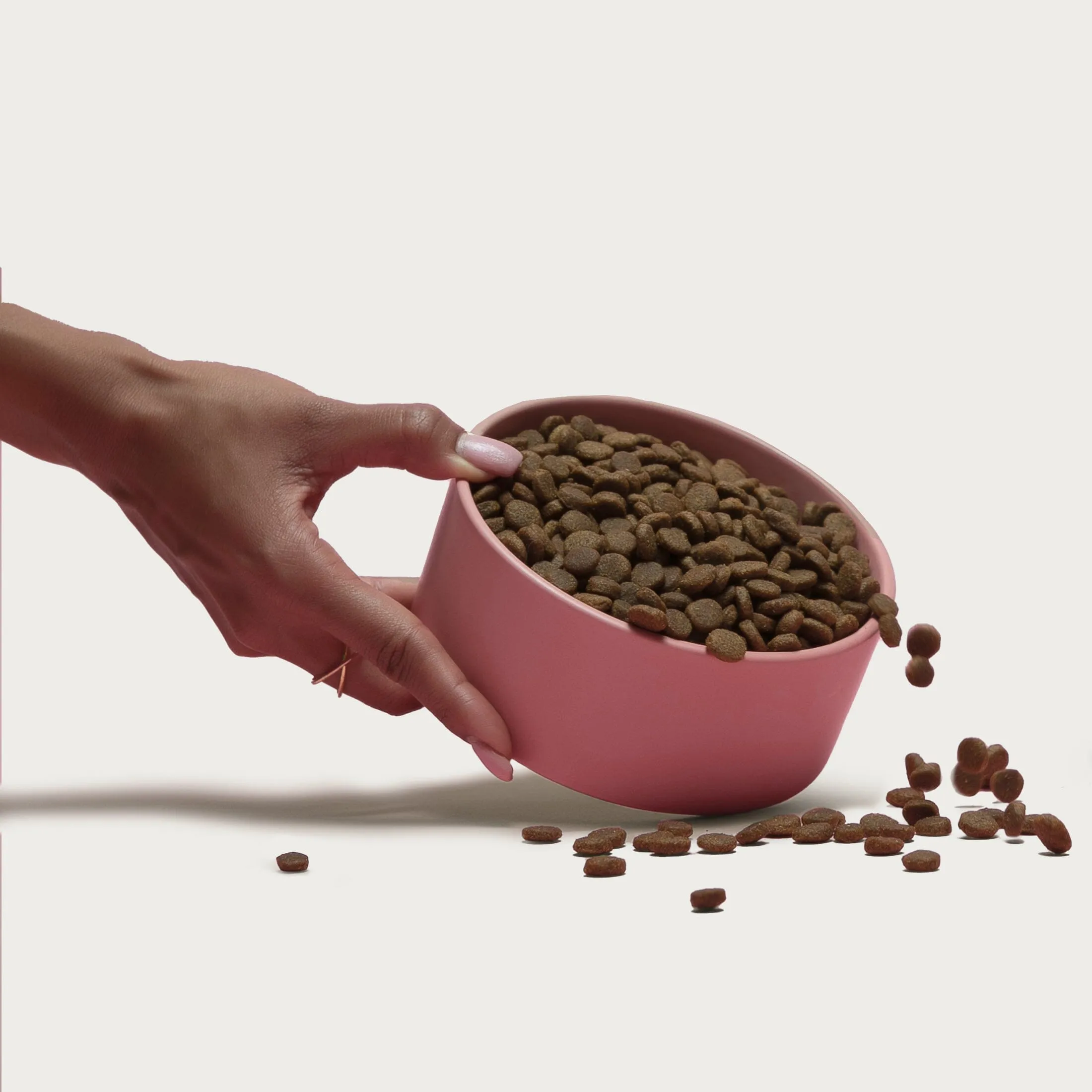 Grain-Friendly Dog Food Sampler