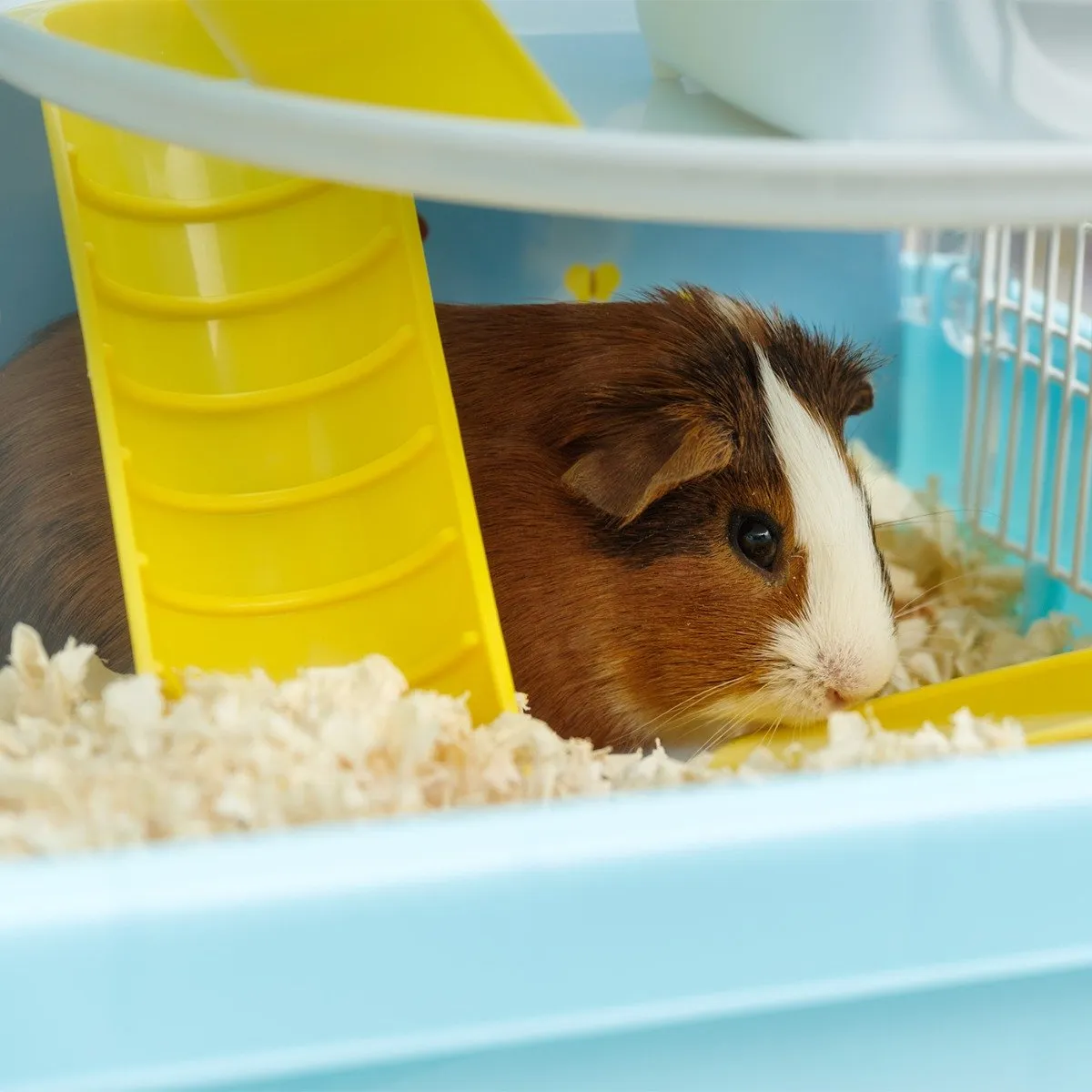 Hamster and Gerbil Cage - 2 Tier