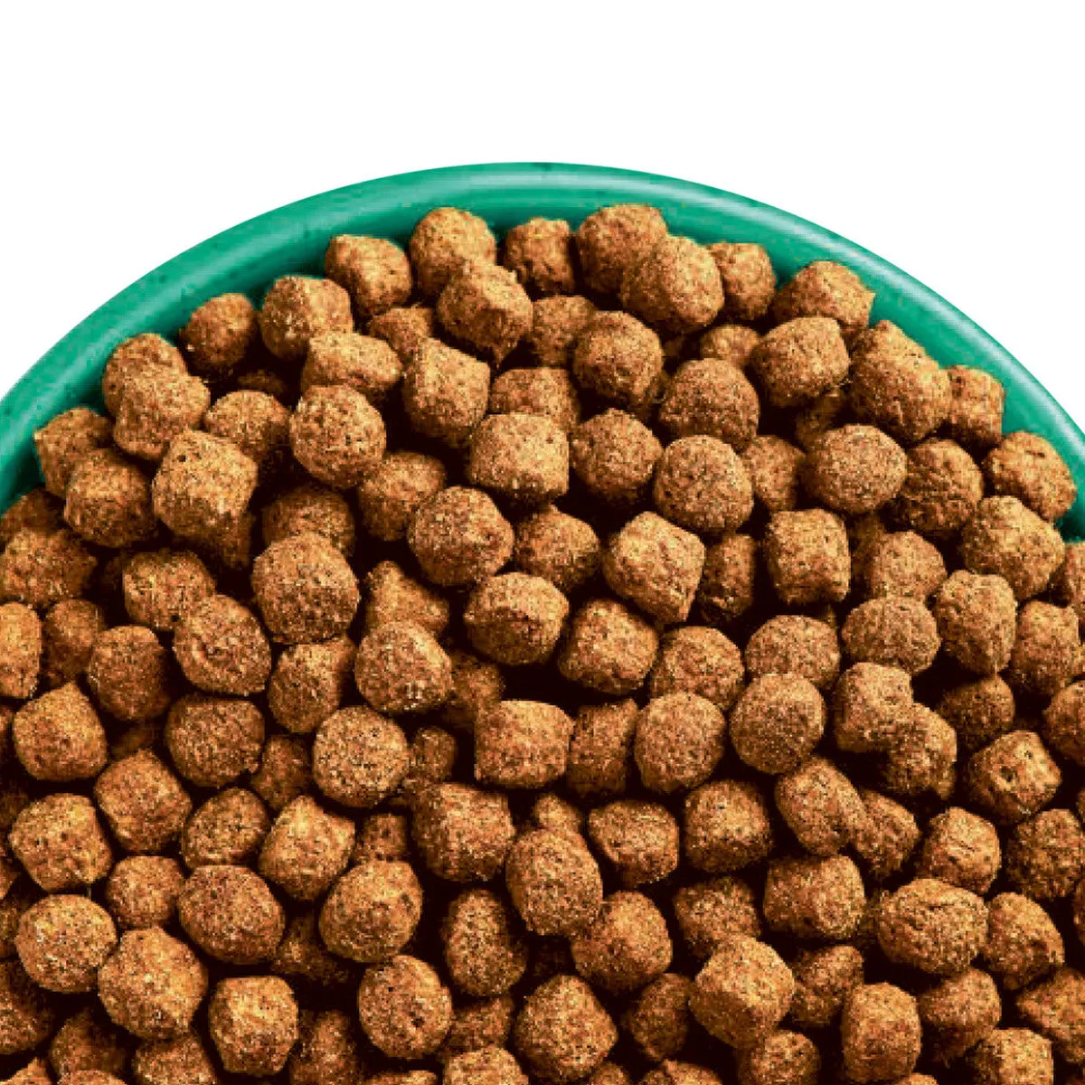 James Wellbeloved Adult Dog Small Breed Superfoods with Turkey & Kale