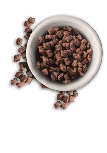 LEONARDO Cat Food Kitten With Chicken 2kg