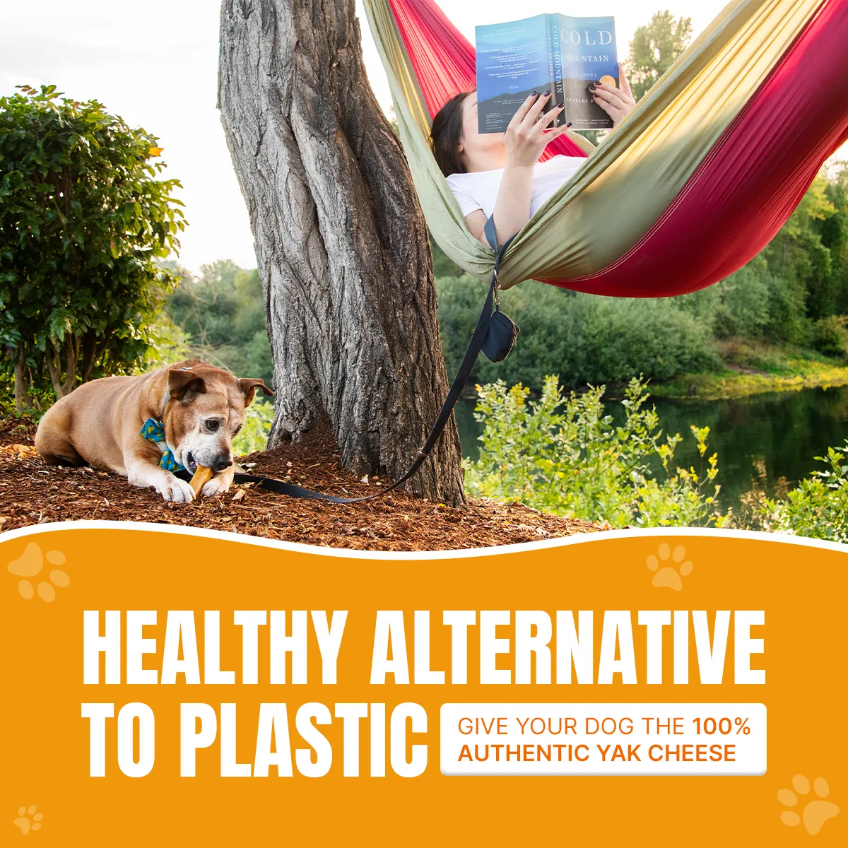 Long Lasting Yak Cheese Chews for Large dogs - 2 sticks