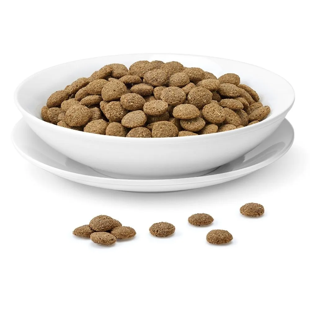 Marukan Clean & Clear Life Clean Food for Golden Hamsters 300g (ML411)