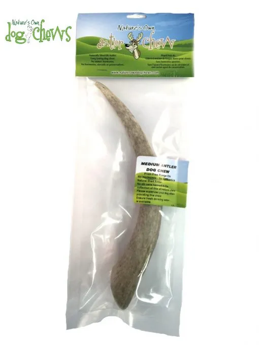 Nature's Own Naturally Shed Antlers - Tiny to XL
