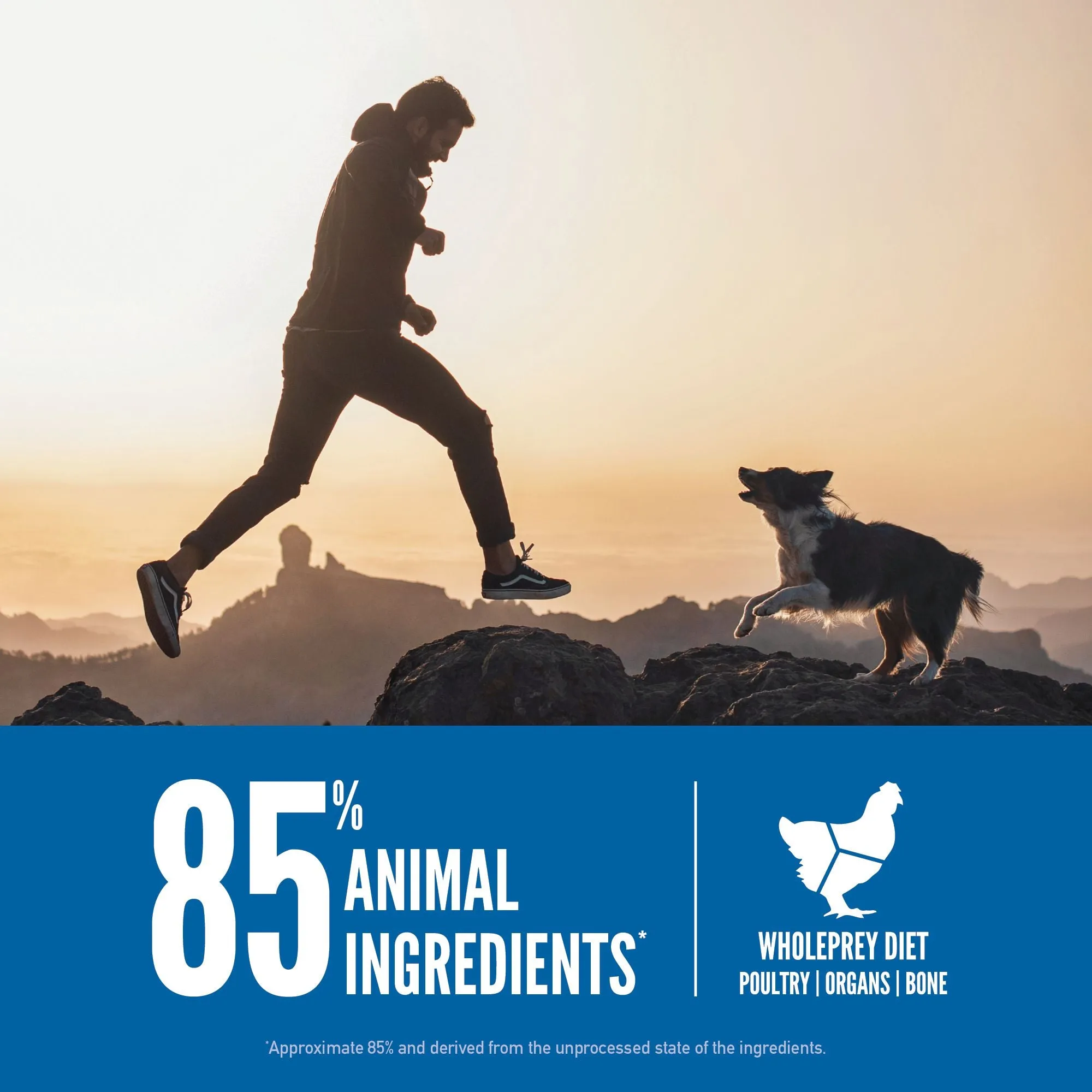 ORIJEN Original Biologically Appropriate Dry Dog Food 2kg